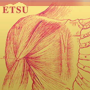 Musculoskeletal I PHYT 6221